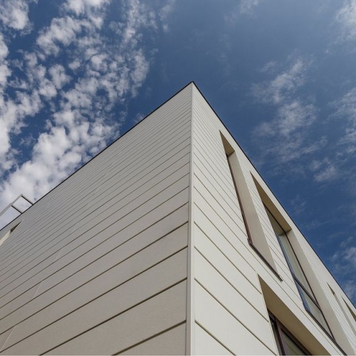 Сайдинг CEDRAL smooth (гладкий) С58